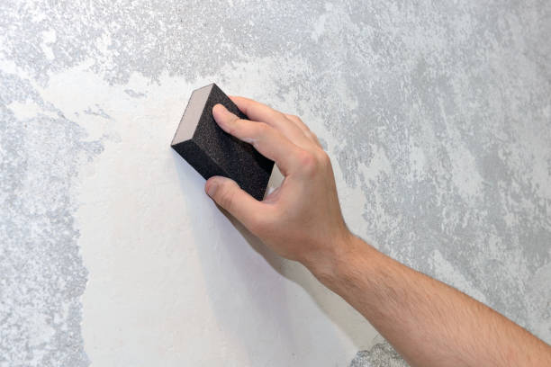  Piru, CA Mold Removal Pros