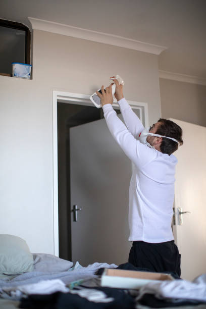 Best Attic Mold Removal  in Piru, CA