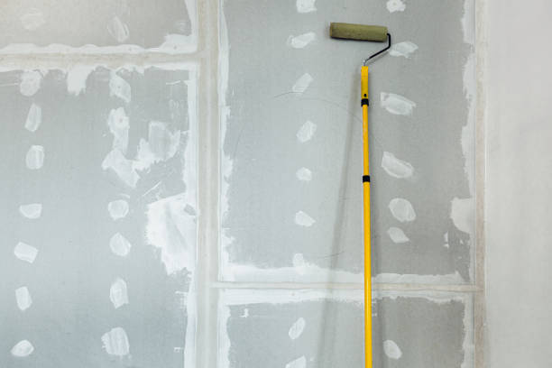 Best Basement Mold Removal  in Piru, CA