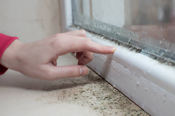 Best Indoor Air Quality Assessment  in Piru, CA