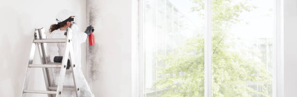 Mold Documentation for Insurance Claims in Piru, CA